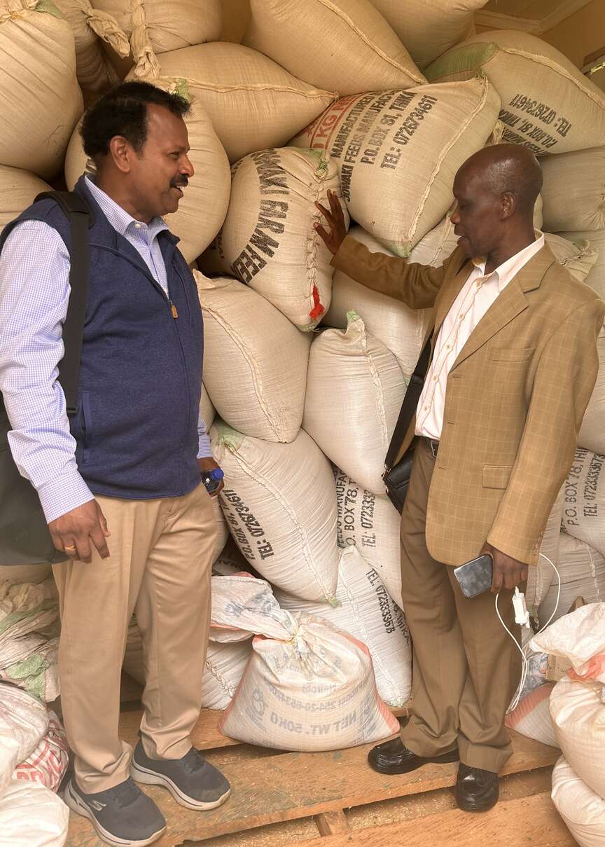 UAPB studies East African rice yields