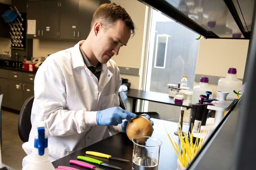 Study assesses ozone’s use to sanitize pet food