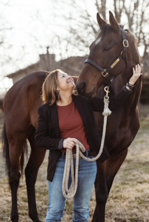 Retired horses finding new life