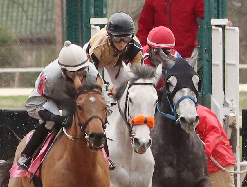 Scholars study racehorses’ retirement