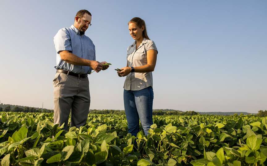 ‘Hidden hunger’ sours soybean profits