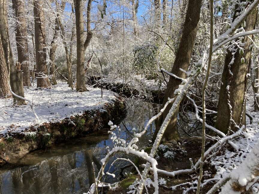 Arctic cold spell set to start today