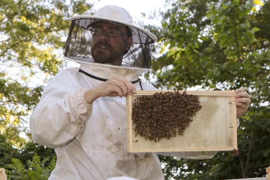 Beekeeping course being offered