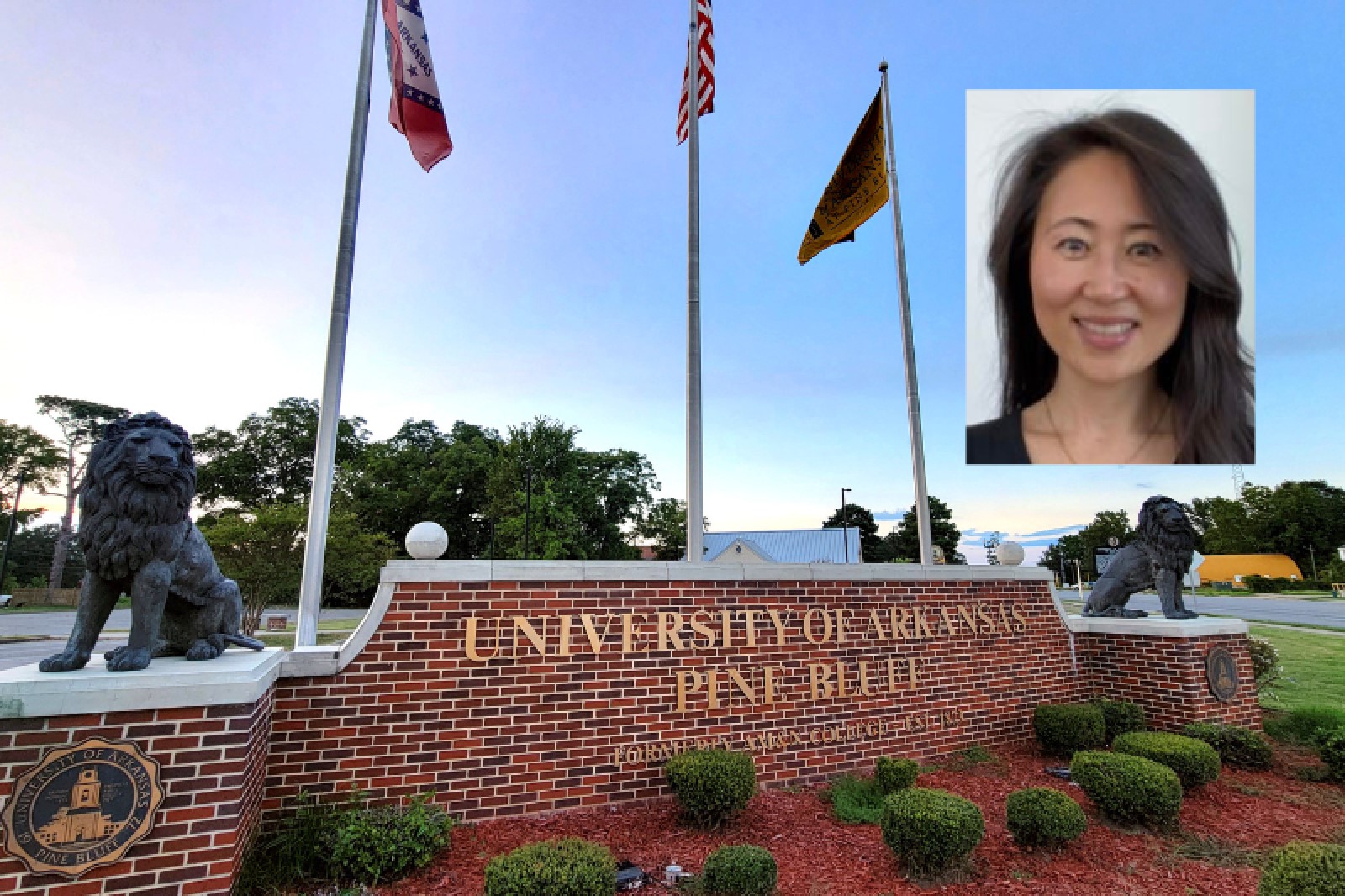 Harris named interim chair at UAPB