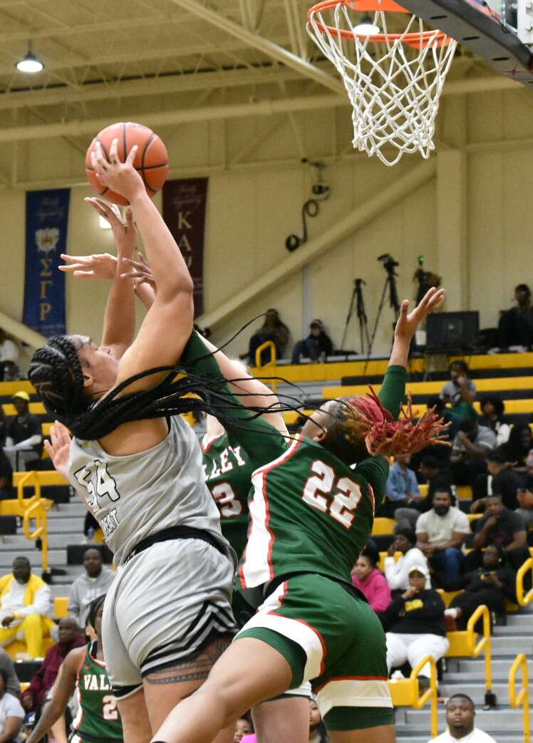Victorious Lady Lions  secure winning season