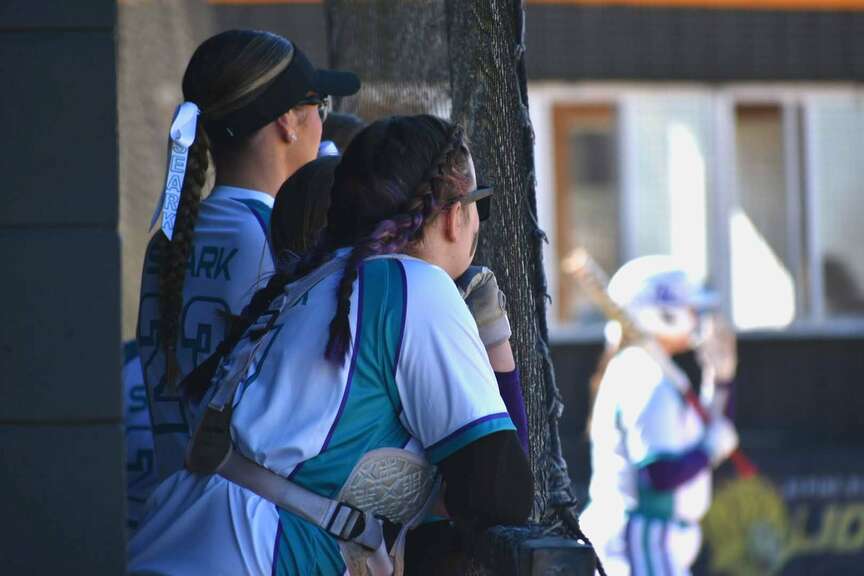 SEARK softball season ends early; injuries cited