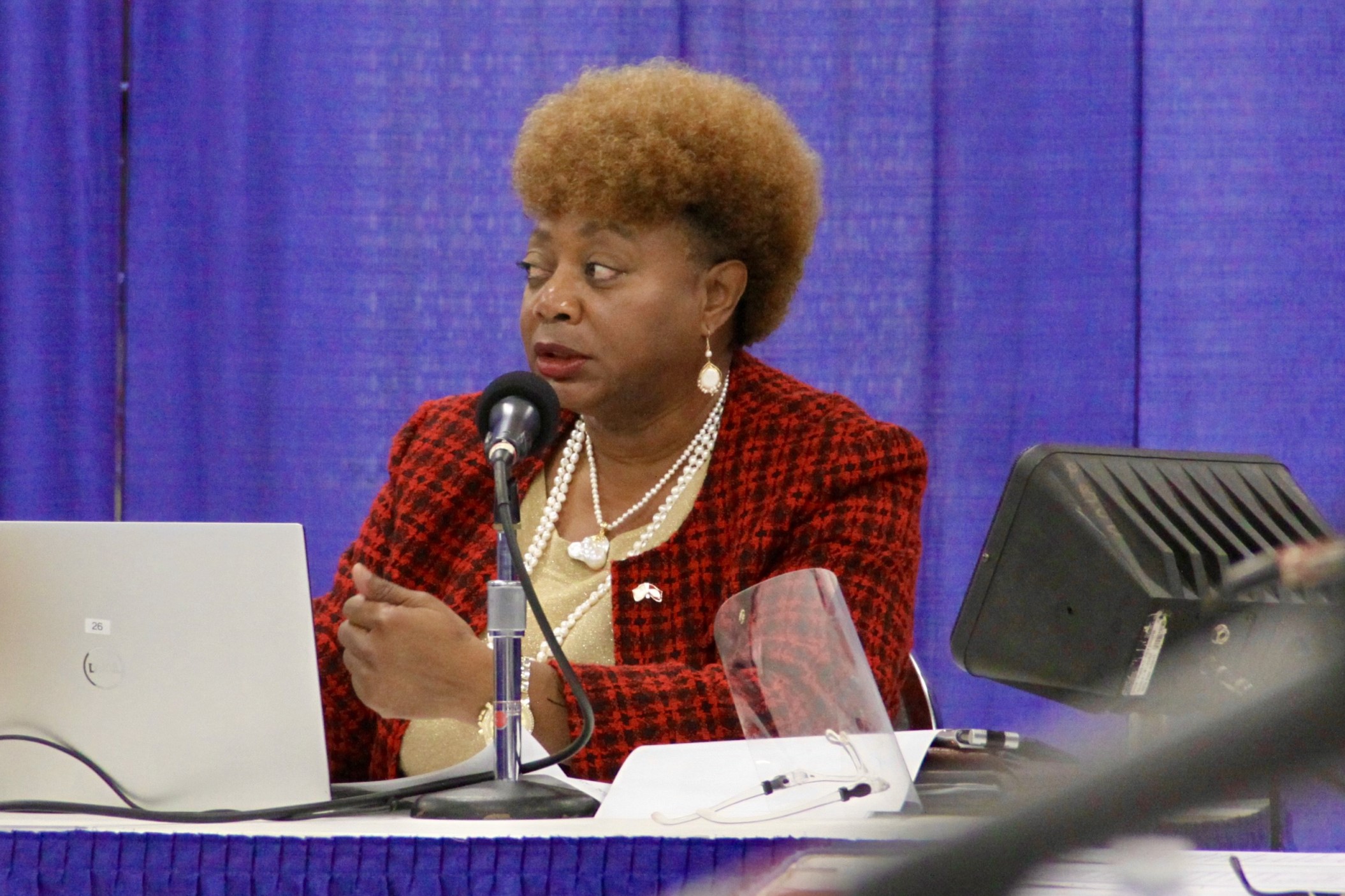 3 laws sought by clerk for Pine Bluff