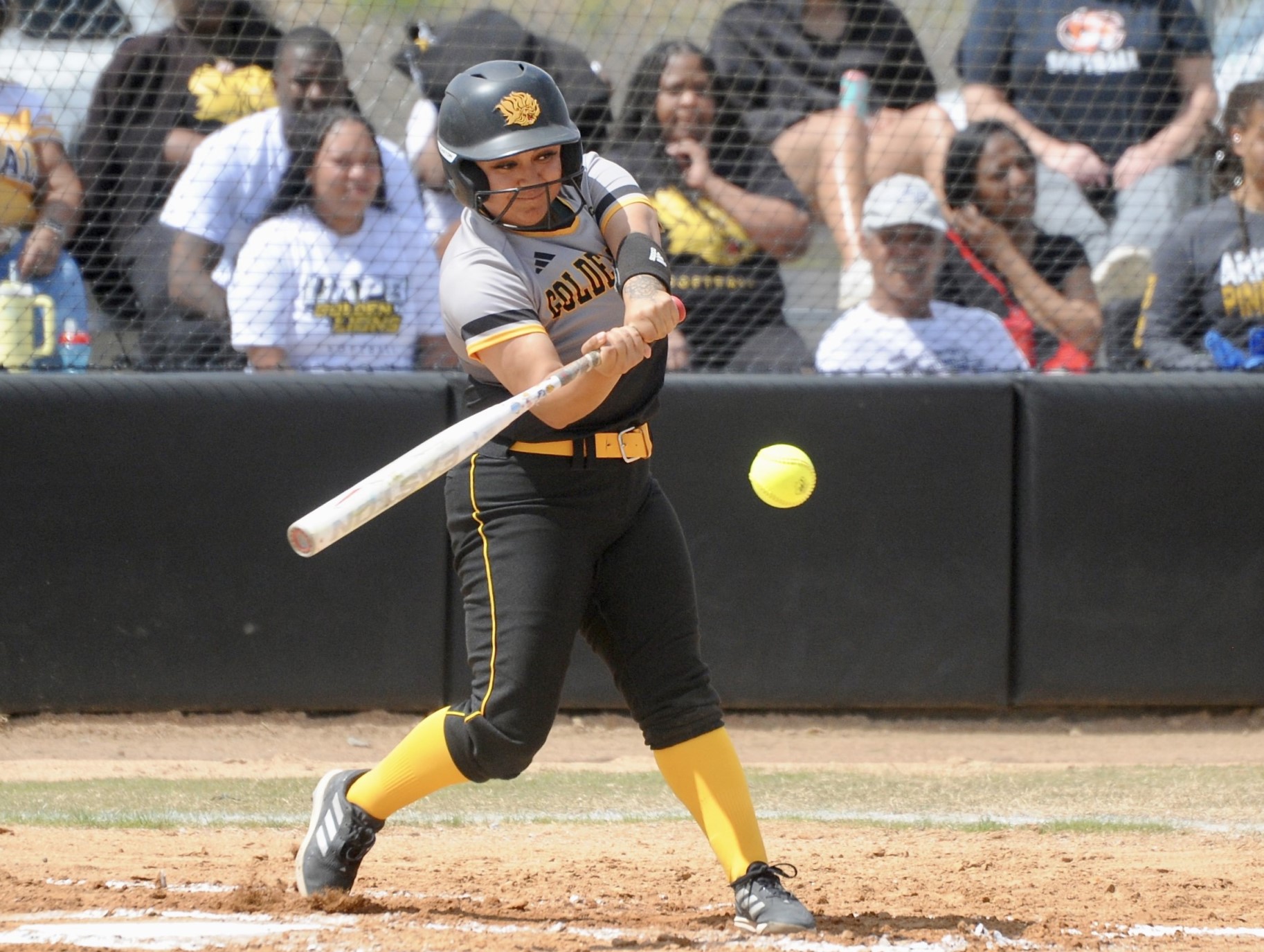 Adams sisters lead UAPB softball team past Grambling State as Lady Lions take weekend series