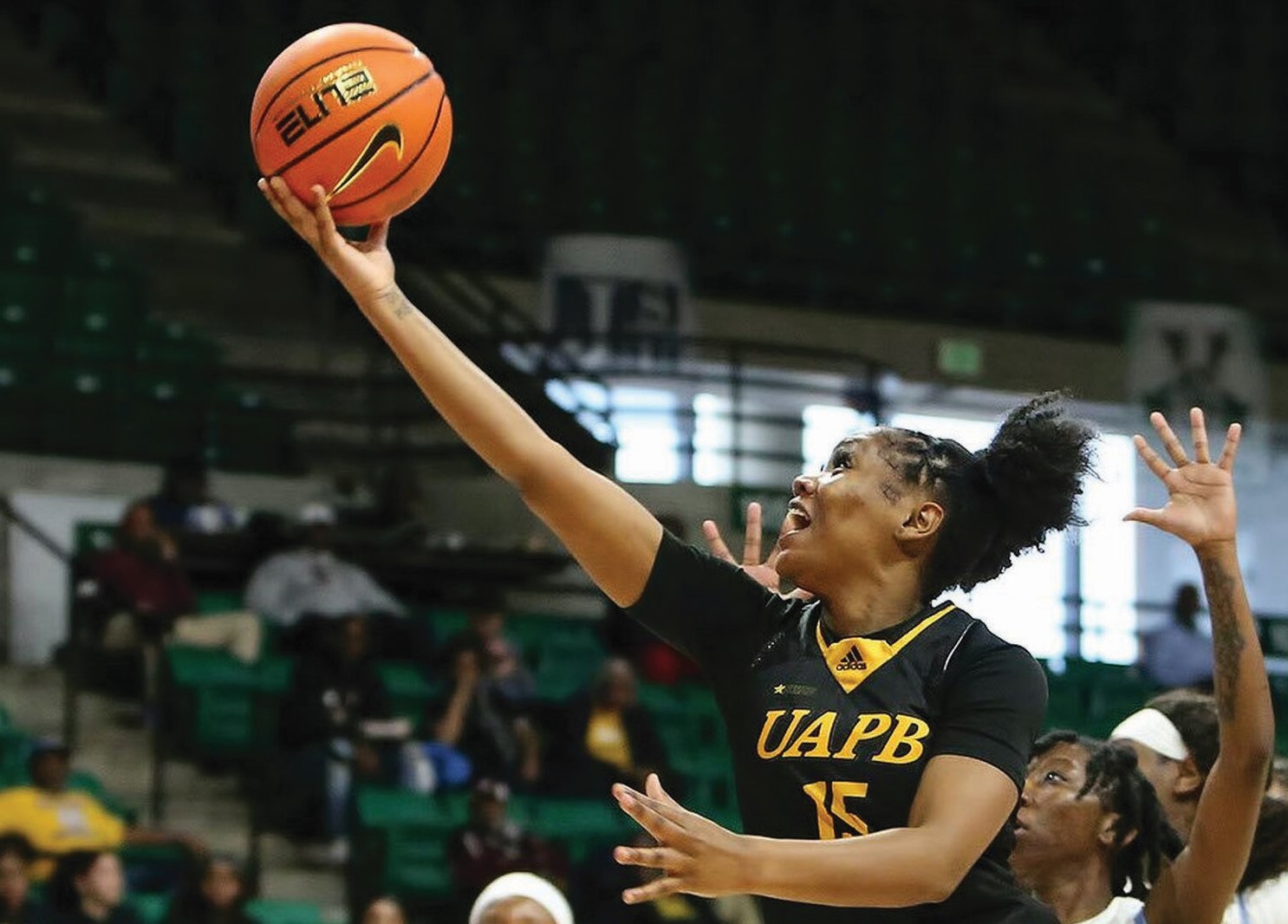 UA-Pine Bluff’s Lady Lions can’t finish comeback at Jackson State