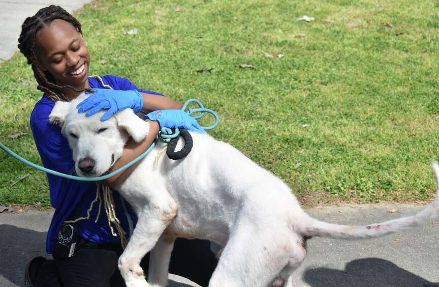 Egg hunt and dog parade start Easter