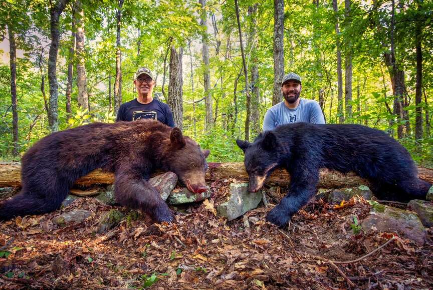 Bear  harvest in ’23 a record