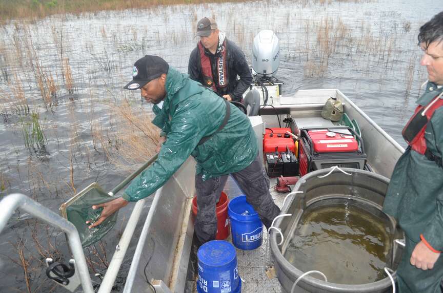 Lake Monticello gets first Florida bass