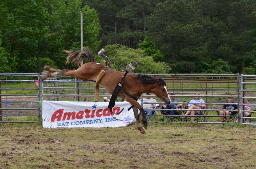 Bucking contest comes to Sheridan