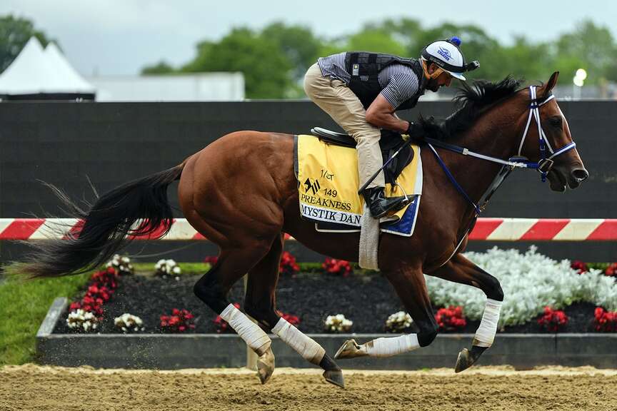 Mystik Dan runs second in Preakness Stakes