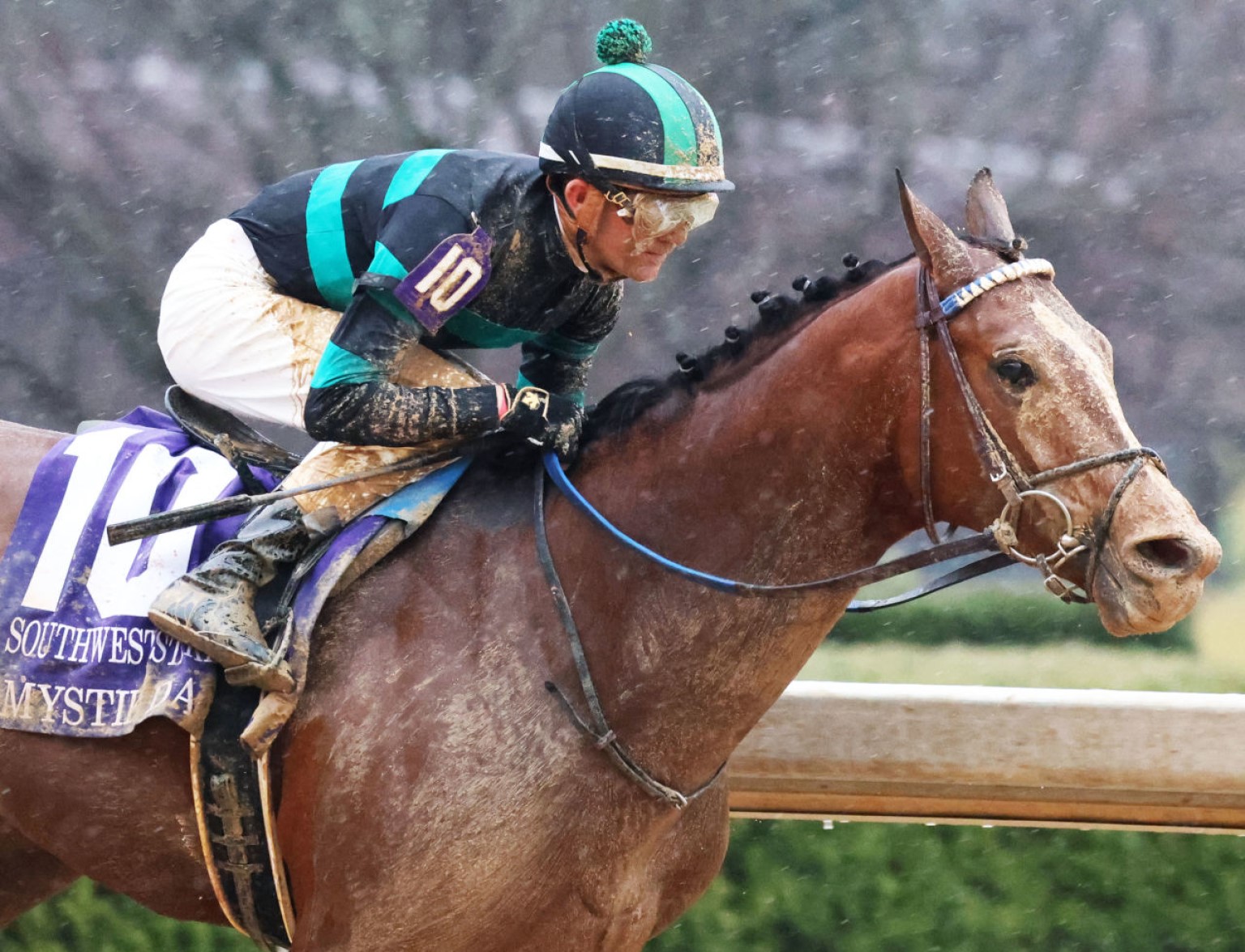Kentucky Derby entrant owned by Southeast Arkansan