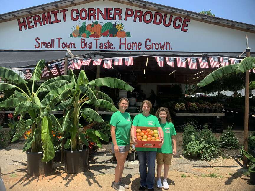 First tomatoes reach Extension office
