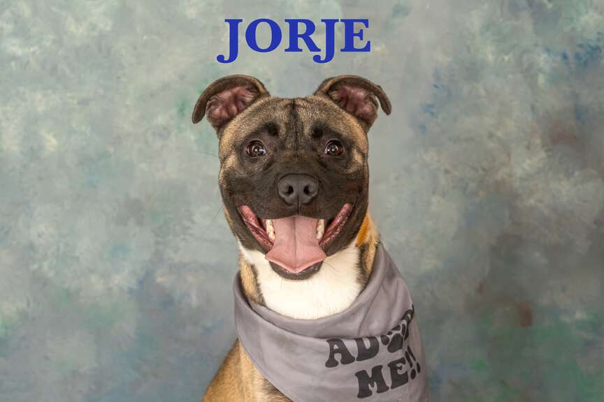 Meet Jorje