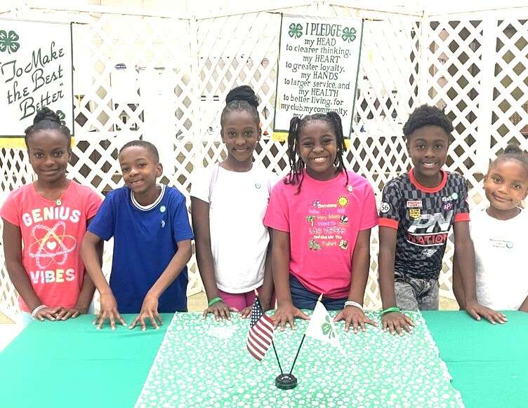 County 4-H club meets for election of officers