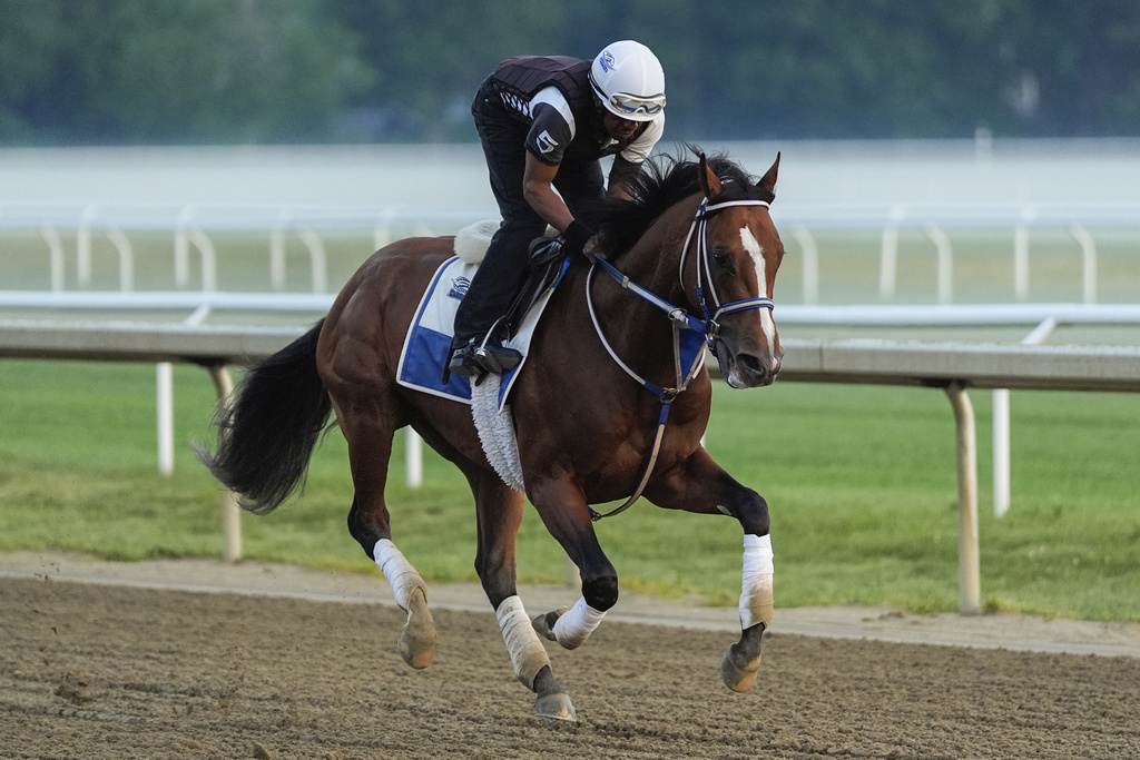 Horse places 8th at Belmont