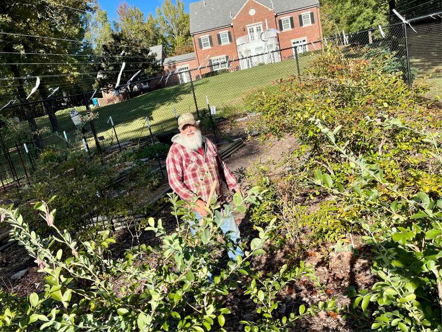 Master Gardeners honor members