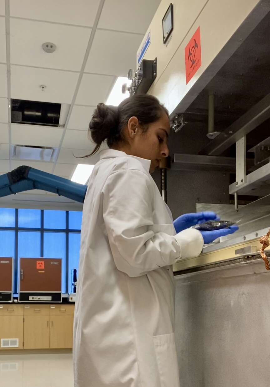 Fighting bacteria in foods studied
