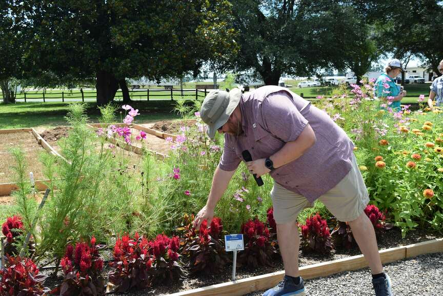 Horticulture Field Day in Hope offers newest findings