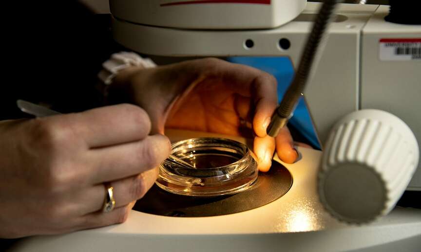 $270,000 to map invasive tick type