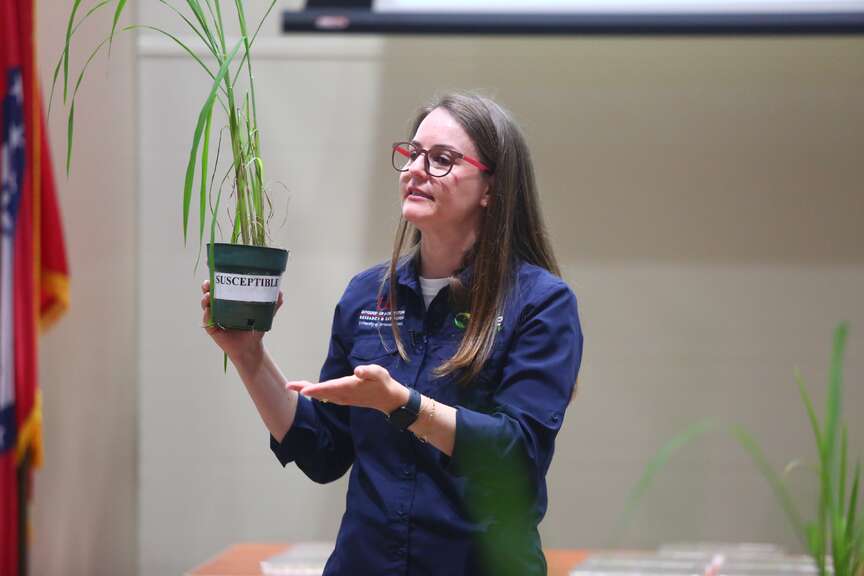 Stuttgart session offers training on rice disease