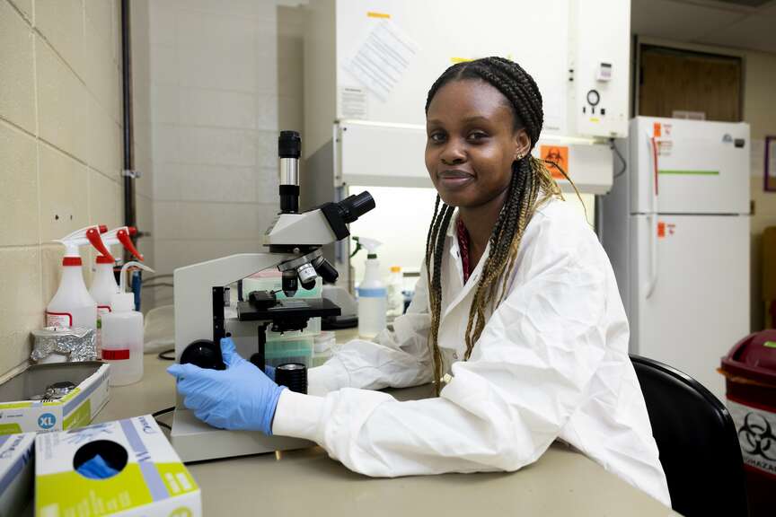 University of Arkansas student researches rice storage conditions