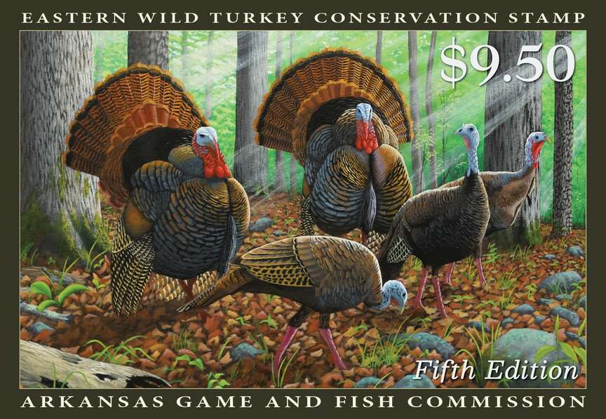Quail and turkey stamps help conserve habitat in Arkansas