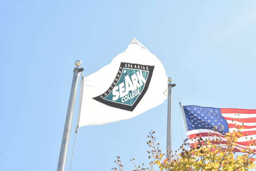 Panel places SEARK on probational status