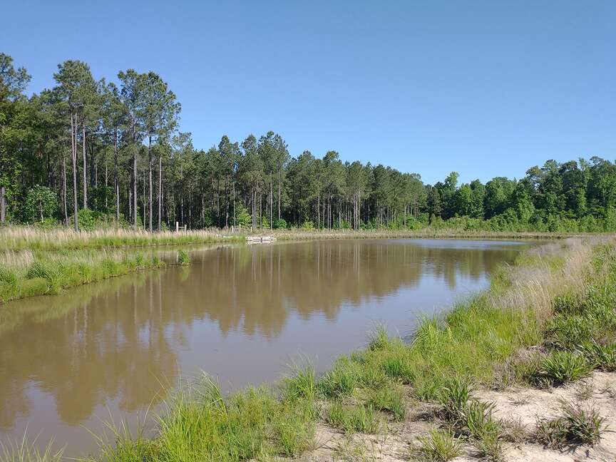 Tackle muddy water in ponds