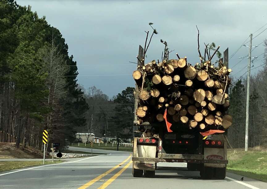 Timber growth keeping prices down