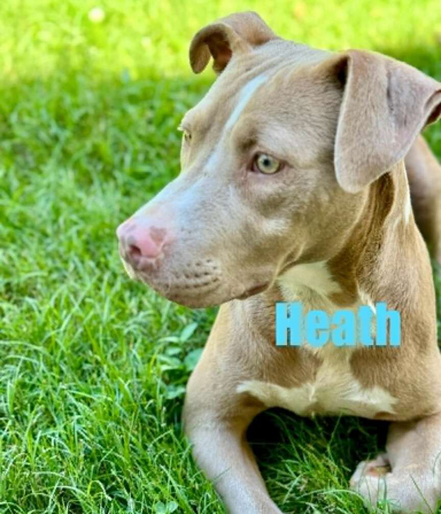 Meet Heath
