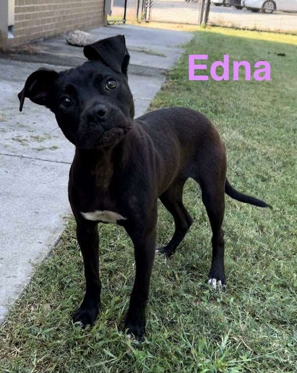 Meet Edna