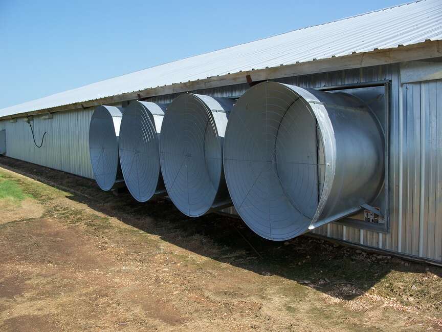 Chicken house study investigates power use