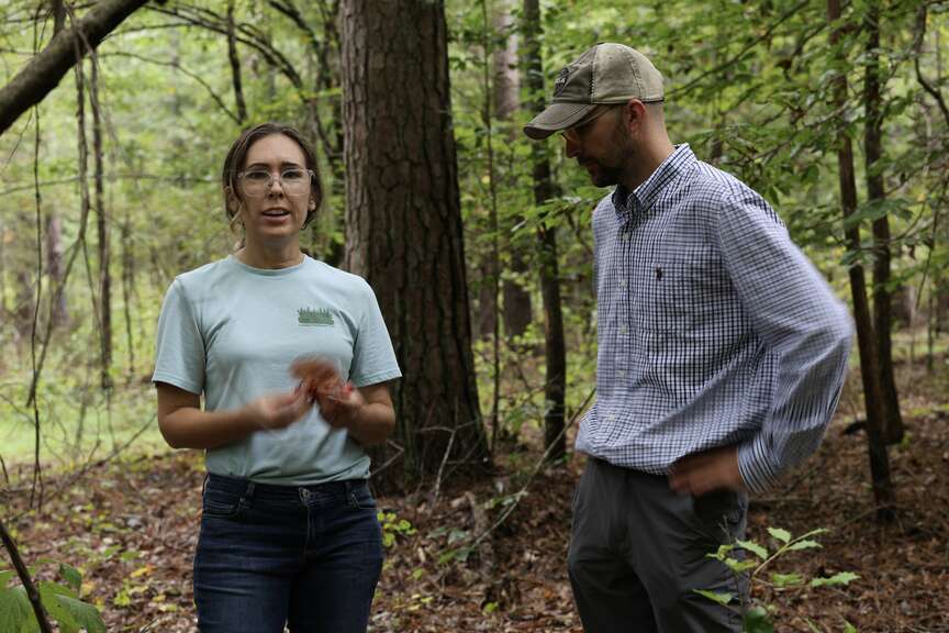 UAM names director of new forestry center