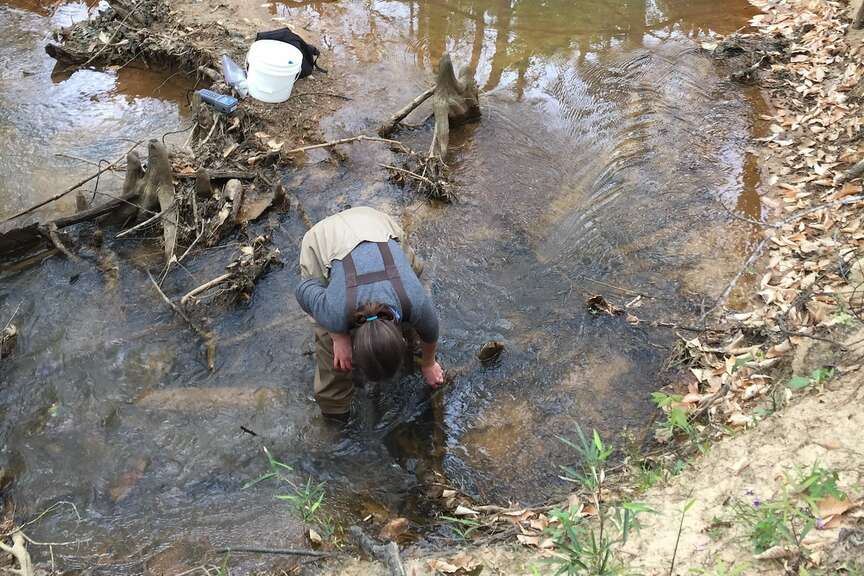 UA joins 3-year study of salt in riparian zones