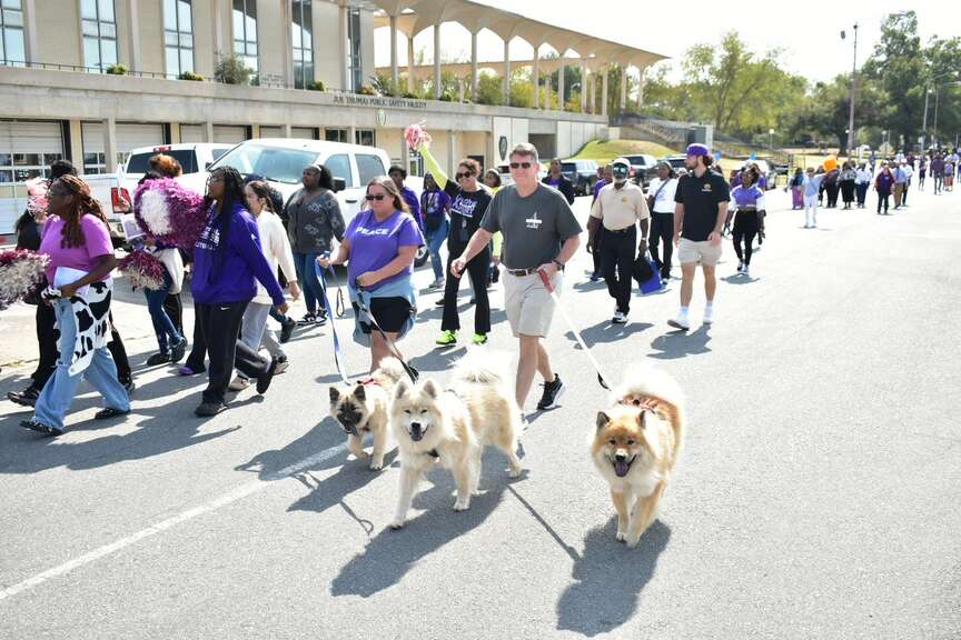 Pine Bluff walks against domestic violence