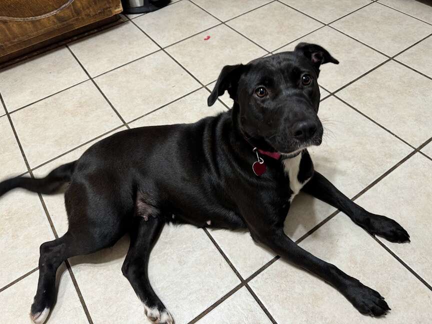 Meet Mamacita