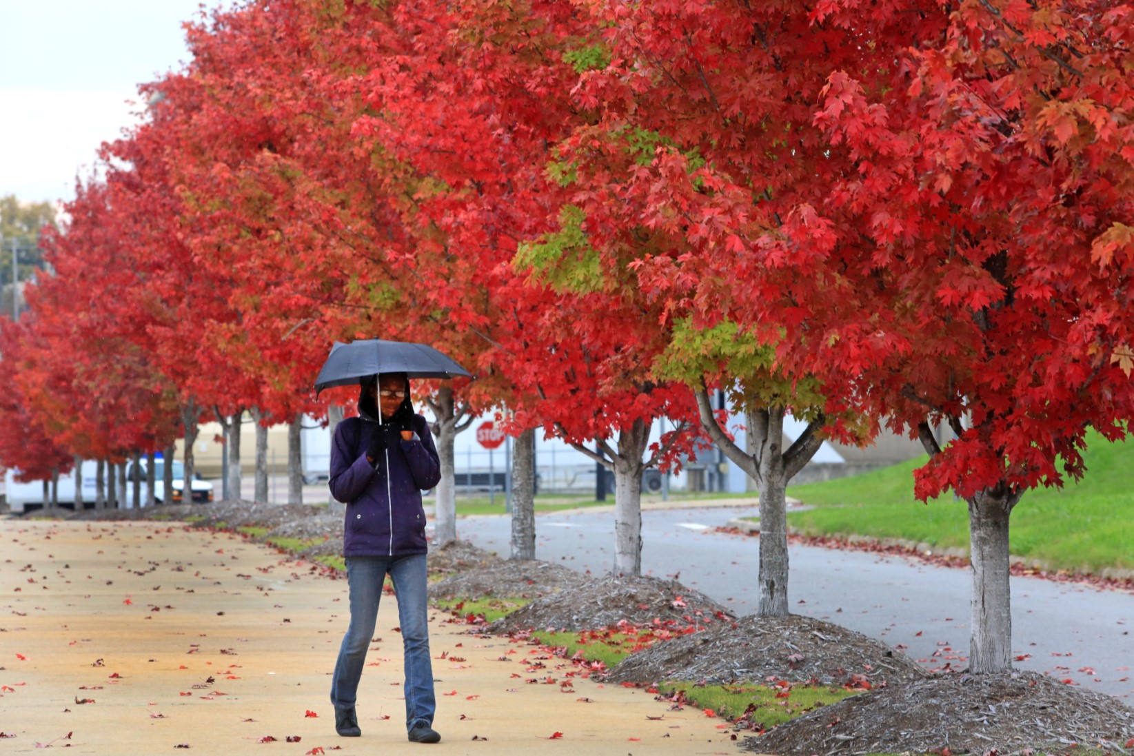 Entergy offers safety tips as cooler weather arrives