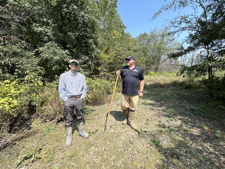 Hardwood forest plan to start in Colt