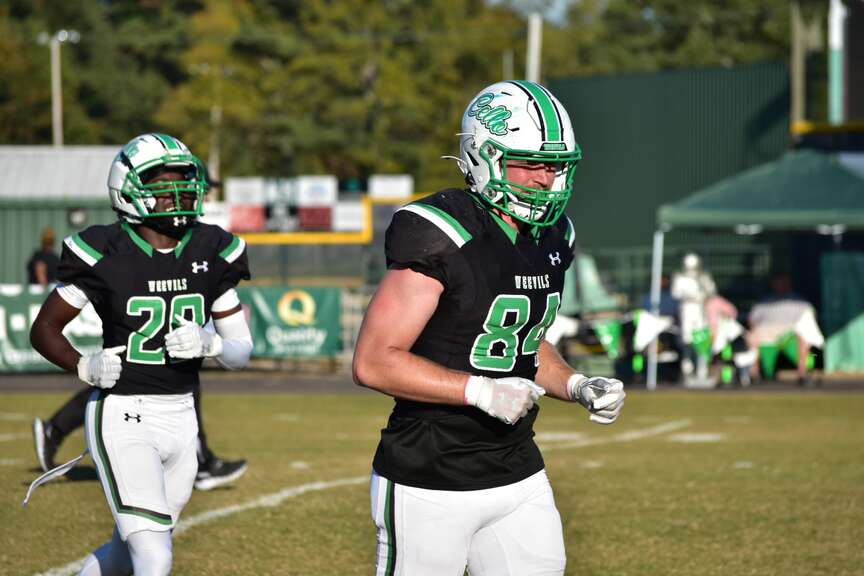 Weevils look to turn momentum