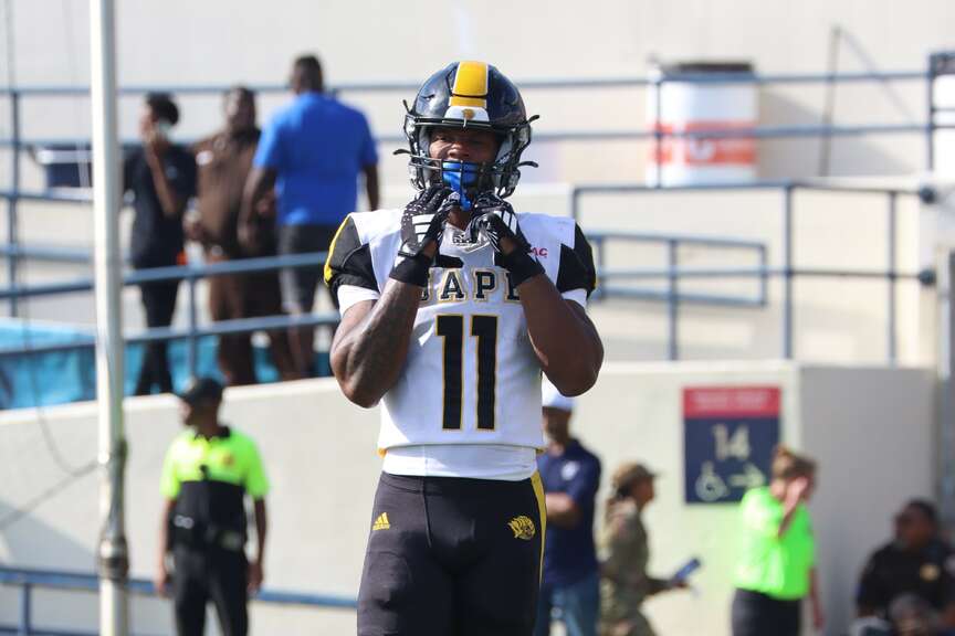Tigers overwhelm Golden Lions