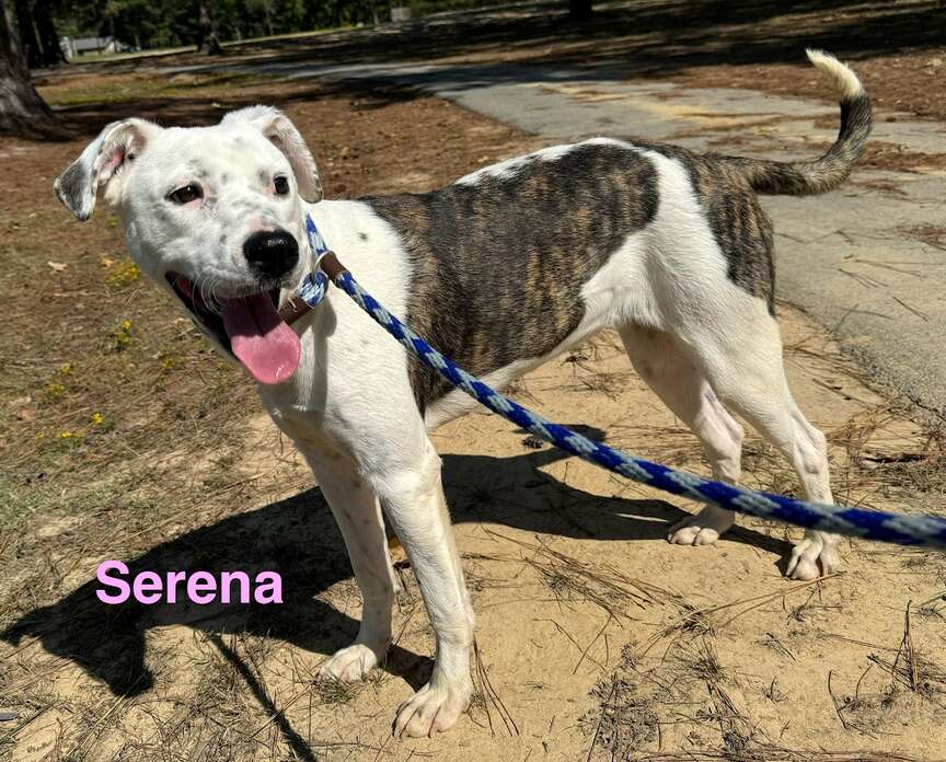 Meet Serena