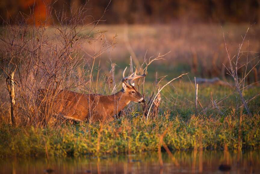 Hunters warned to be mindful of flood risks