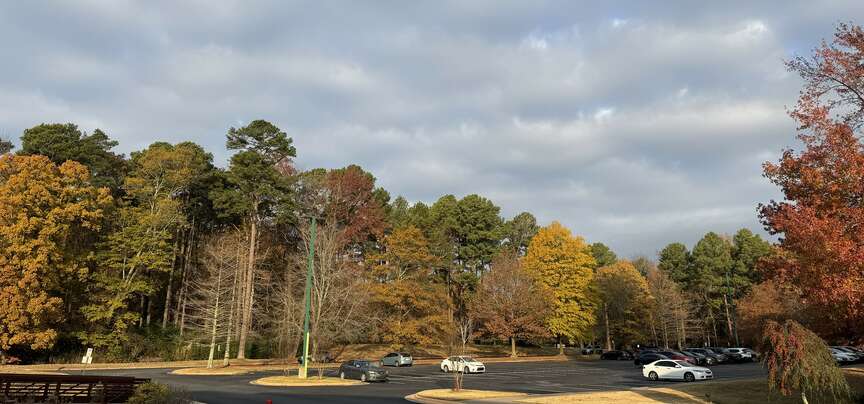 End is at hand for colorful fall leaves