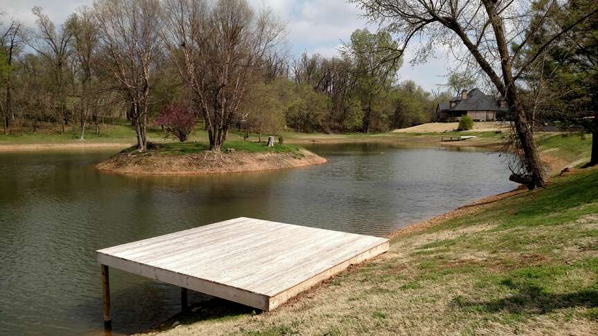 Tree, plant control critical for dams