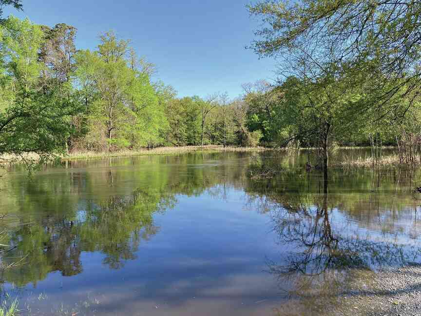 Bayou Bartholomew just one of state’s many bayous