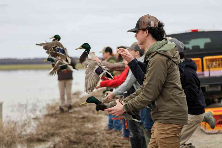4-H’ers attend waterfowl workshop